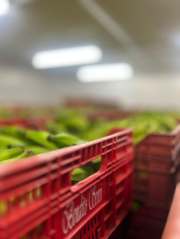Caixas de banana prontas para distribuição